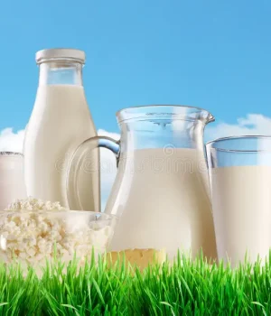 dairy-products-grass-background-sunny-skies-49097492